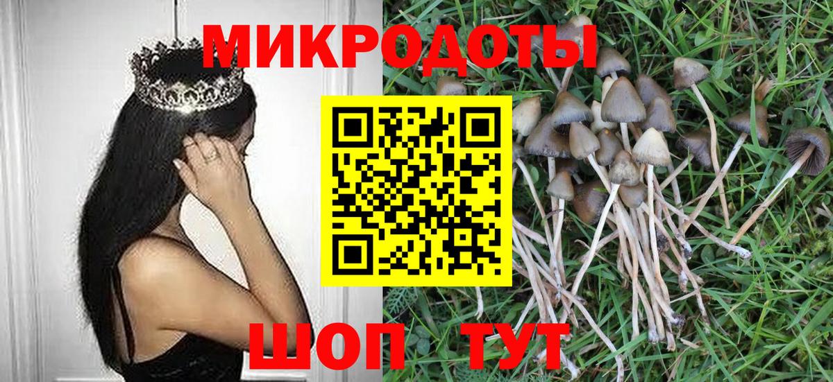 Белово  Галлюциногенные грибы прущие грибы  Вход с VPN  где купить наркоту  Галлюциногенные грибы прущие грибы 
